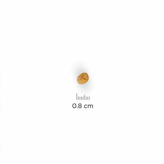 Hill's Science Plan - Croquettes Sterilised Mature 7+ Poulet pour Chat - 1,5Kg image number null
