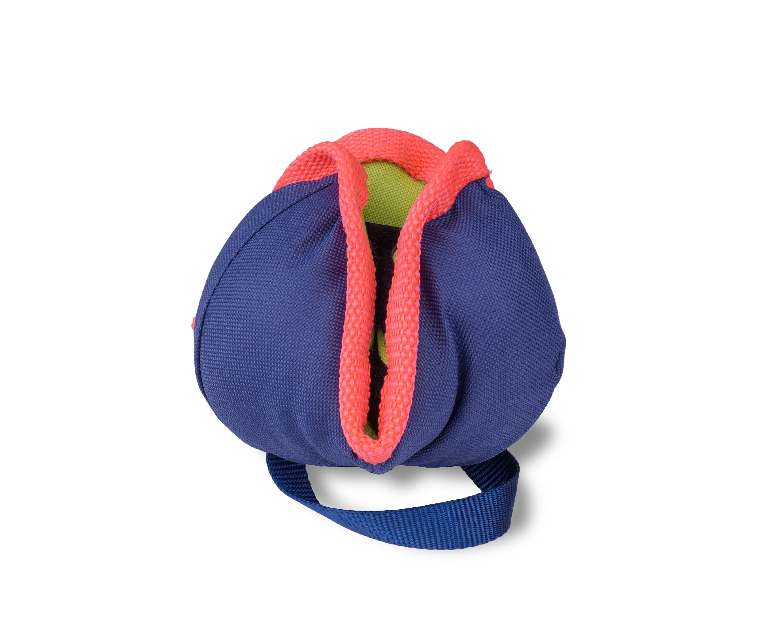 Company of Animals - Jouet Coachi Chase & Treat pour Chiens Image num&eacute;ro 1