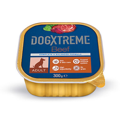 DogXtreme - Boîte au Boeuf pour Chien Adulte - 300g
