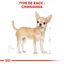 Royal Canin - Croquettes Chihuahua pour Chien Adulte - 3Kg Indicateur image numéro 2