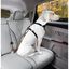 Kurgo - Attache Ceinture de Sécurité Voiture Tether pour Chien - Orange Indicateur image numéro 3