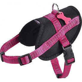 Bobby - Harnais Easy Safe Fushia pour Chiens - XXS