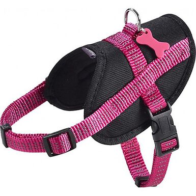 Bobby - Harnais Easy Safe Fushia pour Chiens - XXS