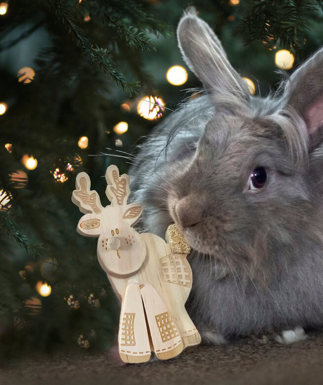 Rosewood - Rennes Patchwork à Ronger pour Rongeur - 13cm Image numéro 4 Rosewood - Rennes Patchwork à Ronger pour Rongeur - 13cm Image numéro 4