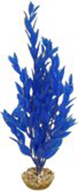 Labeo - Cycared coloré - Plante Artificielle Aquarium
