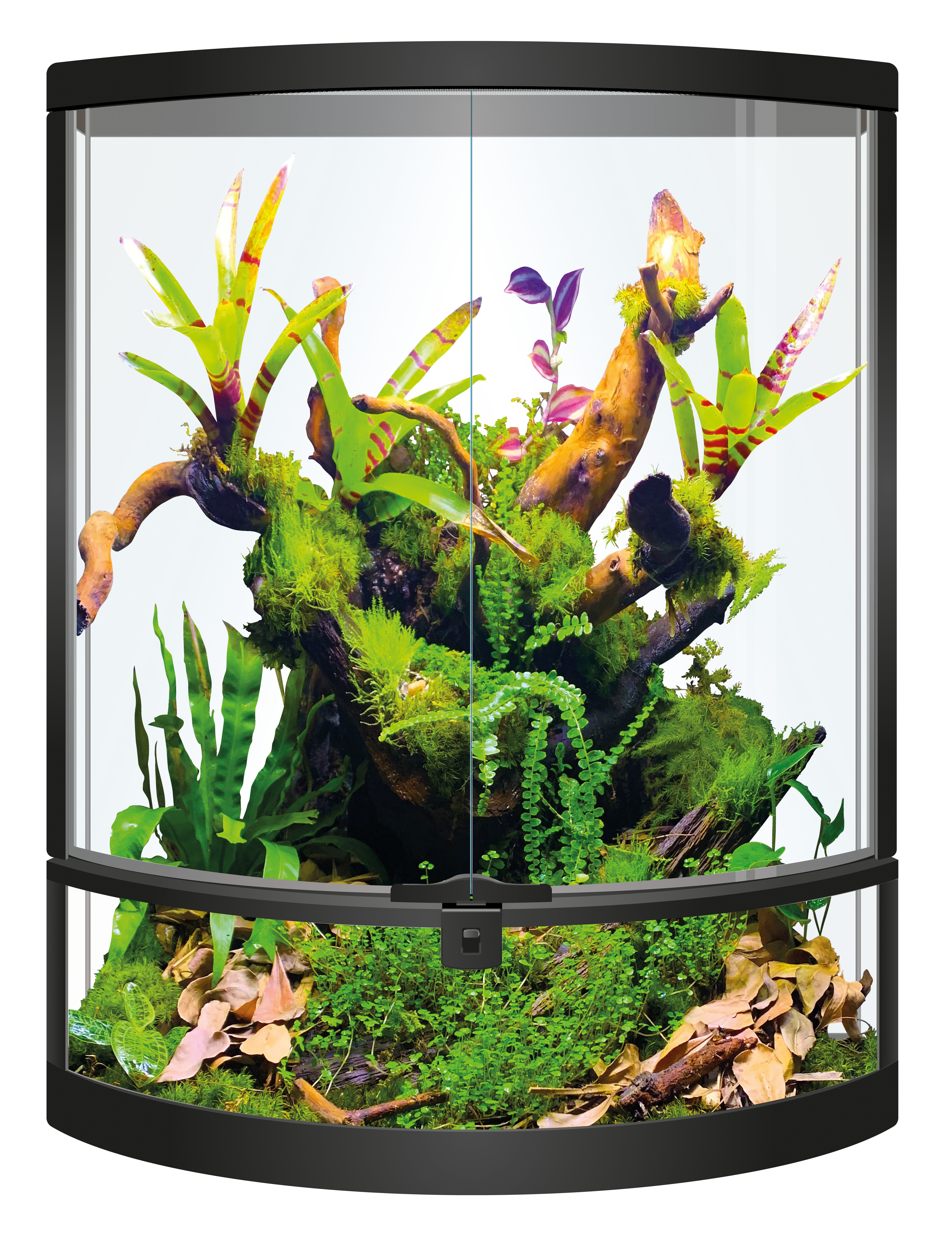 Repto - Terrarium Terra Half-moon - 56x28x64cm Image num&eacute;ro 1