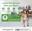 Wellness CORE - Repas Complet 95% d'Agneau pour Chien - 400g Indicateur image numéro 3