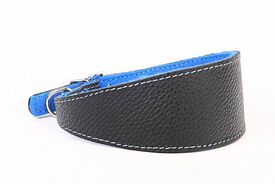 Yogipet - Collier en Cuir Lévrier pour Chien Bleu