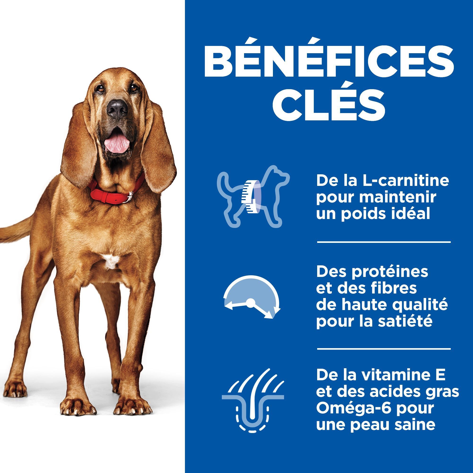 Hill's Science Plan - Mature Adult Light Croquettes Pour Chien Ag&eacute; Au Poulet  - 12kg Image num&eacute;ro 3