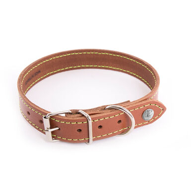 Martin Sellier - Collier Flash Cognac/Jaune pour Chiens