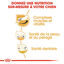 Royal Canin - Croquettes Jack Russell Adult pour Chiens - 1,5Kg Indicateur image numéro 4