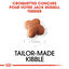 Royal Canin - Croquettes Jack Russell Junior - 3Kg Indicateur image numéro 4