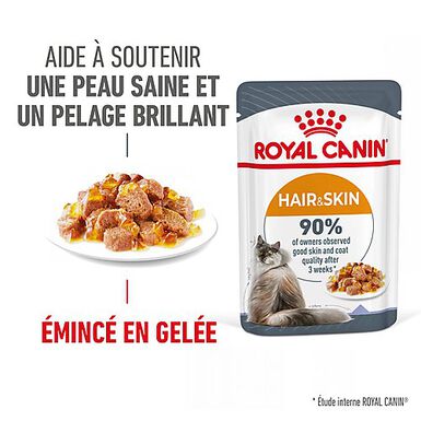 Royal Canin - Sachets Hair&Skin Gelée pour Chat - 12x85g