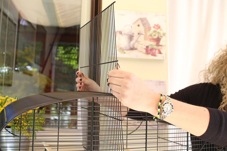 Ferplast - Cage Canto pour Oiseaux Image numéro 4 Ferplast - Cage Canto pour Oiseaux Image numéro 4