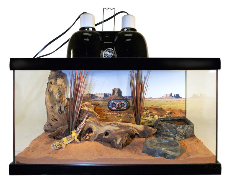 Zoomed - Support de Lampe Double Mini Dôme Profond Mini Combo Deep Dome LF-19E pour Terrarium - 2x100W Image numéro 3 Zoomed - Support de Lampe Double Mini Dôme Profond Mini Combo Deep Dome LF-19E pour Terrarium - 2x100W Image numéro 3