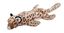 Anka - Jouet Safari No Stuffing pour Chiens - 35cm Indicateur image num&eacute;ro 2