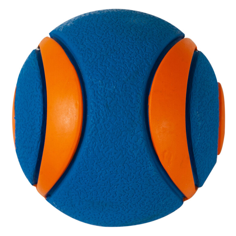 ChuckIt! - Balle Ultra Squeaker Ball Pour Chiens - L Image numéro 6 ChuckIt! - Balle Ultra Squeaker Ball Pour Chiens - L Image numéro 6