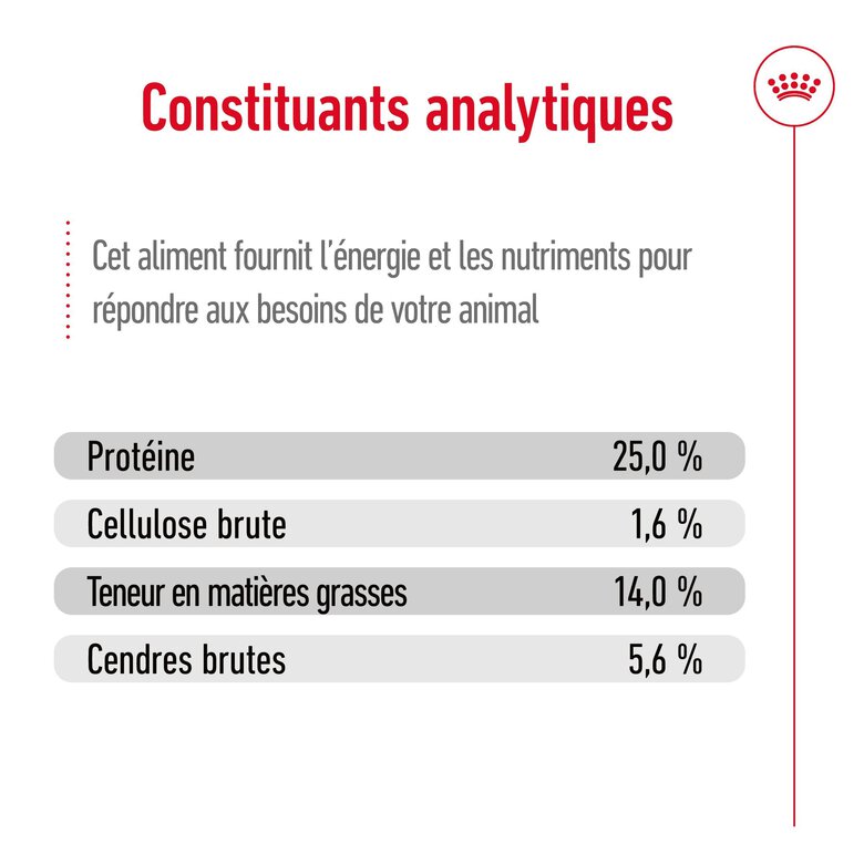 Royal Canin - Croquettes Medium Adulte 7+ pour Chien - 15Kg Image numéro 10 Royal Canin - Croquettes Medium Adulte 7+ pour Chien - 15Kg Image numéro 10