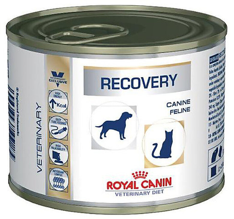 Royal Canin - Boîte Veterinary Diet Recovery pour Chien et Chat - 195g image number null