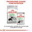 Royal Canin - Croquettes Digestive Care pour Chien - 3Kg Indicateur image numéro 6