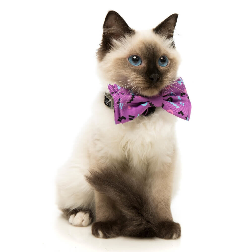 FuzzYard - N&oelig;ud Papillon PeeWee pour Chien - S Image num&eacute;ro 4