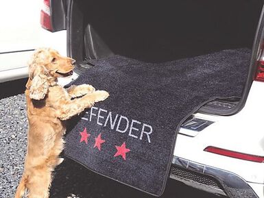 Housse tapis Protection Coffre Voiture Chien Bache Tapis Housse