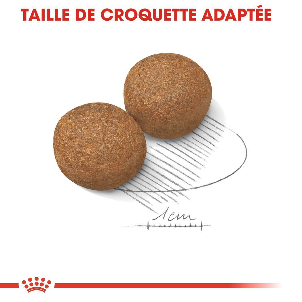 Royal Canin - Croquettes Maxi Adult pour Chien - 4Kg Image num&eacute;ro 5