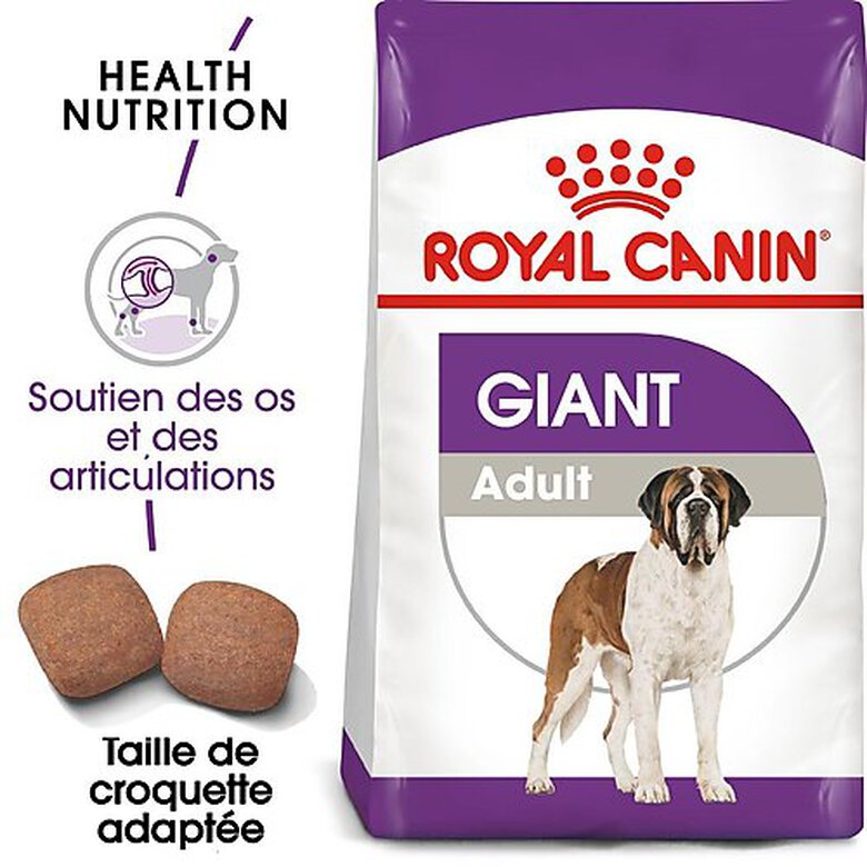 Royal Canin - Croquettes Giant Adult pour Chien - 15Kg image number null