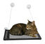 Leeby - Hamac de Fen&ecirc;tre pour Chats - Noir Indicateur image num&eacute;ro 2