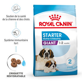 Royal Canin - Croquettes Giant Starter Mother & Babydog pour chiots - 15kg