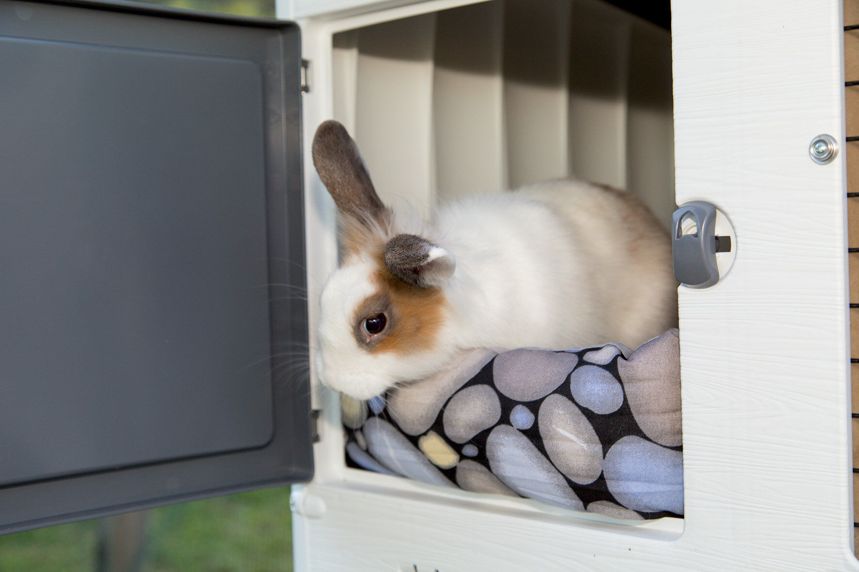 Ferplast - Clapier Grand Lodge Plus pour Rongeurs - 120 Image num&eacute;ro 3