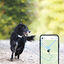 Tractive - Traceur GPS DOG 4 pour Chiens - Blanc Indicateur image numéro 4