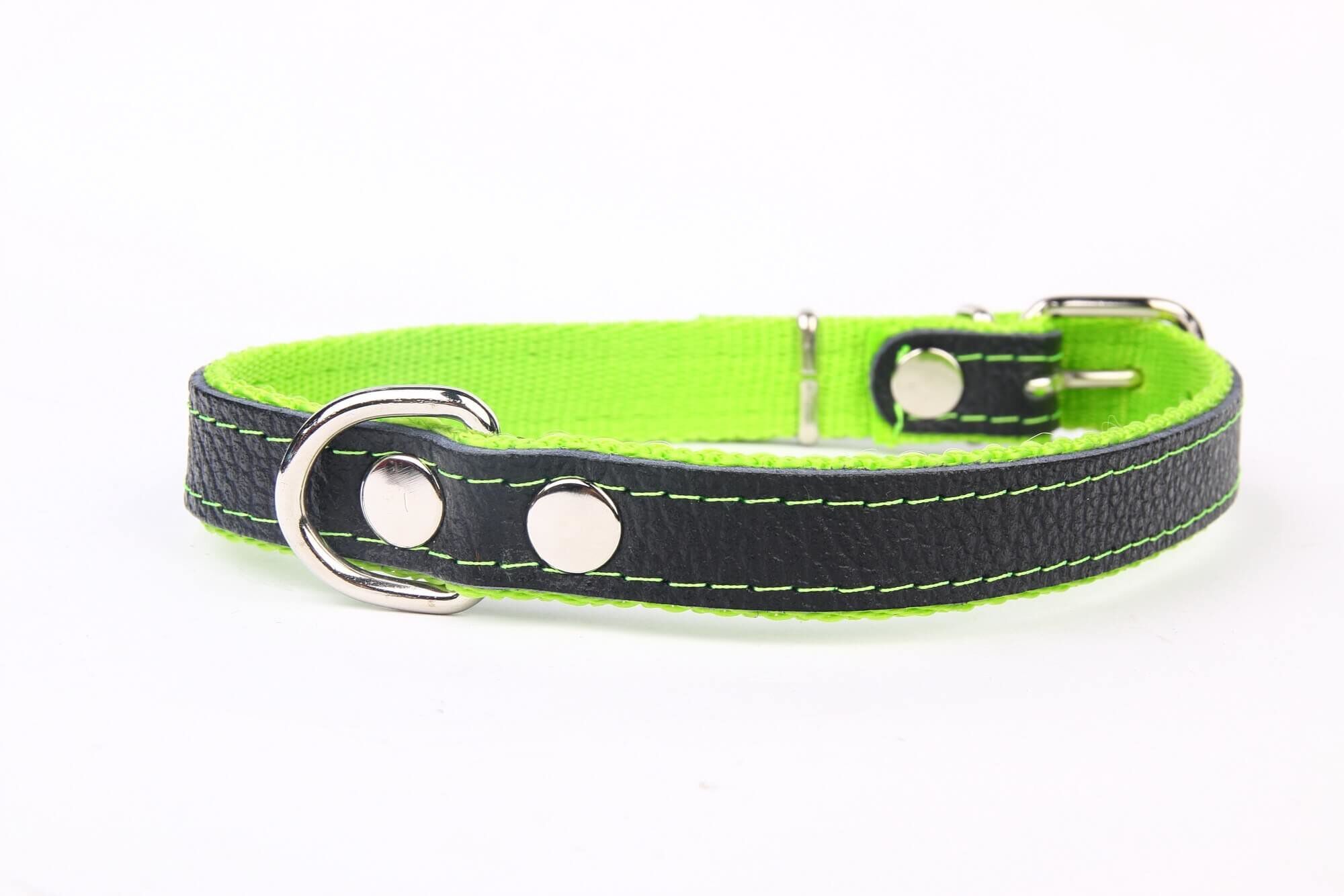 Yogipet - Collier Cuir et Nylon Vert pour Chien - T50 39/47cm Image num&eacute;ro 1