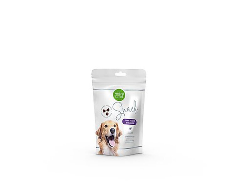 Nutravital - Snack Prébiotiques vitalité et Digestion pour Chien - 145g Image numéro 1 Nutravital - Snack Prébiotiques vitalité et Digestion pour Chien - 145g Image numéro 1