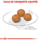 Royal Canin - Croquettes X-Small Adult pour Petits Chiens - 3Kg image number null