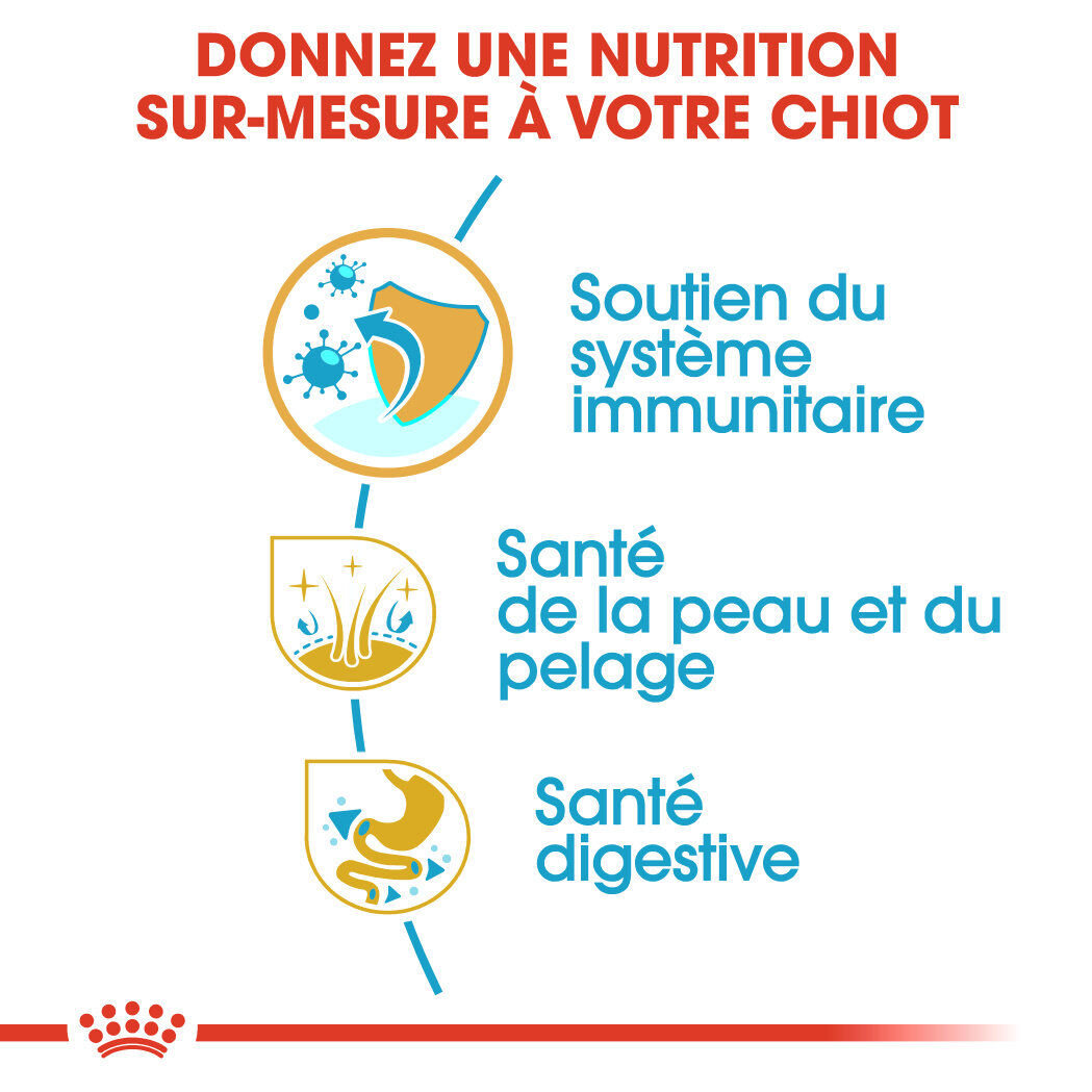 Royal Canin - Croquettes PUPPY COCKER pour Chiots - 3KG Image num&eacute;ro 3