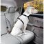 Kurgo - Attache Ceinture de Sécurité Voiture Tether pour Chien - Orange Indicateur image numéro 3