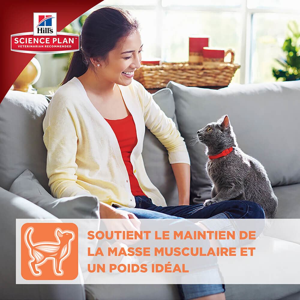 Hill's Science Plan - Croquettes Optimal Care Adult Poulet pour Chat - 10Kg Image num&eacute;ro 4