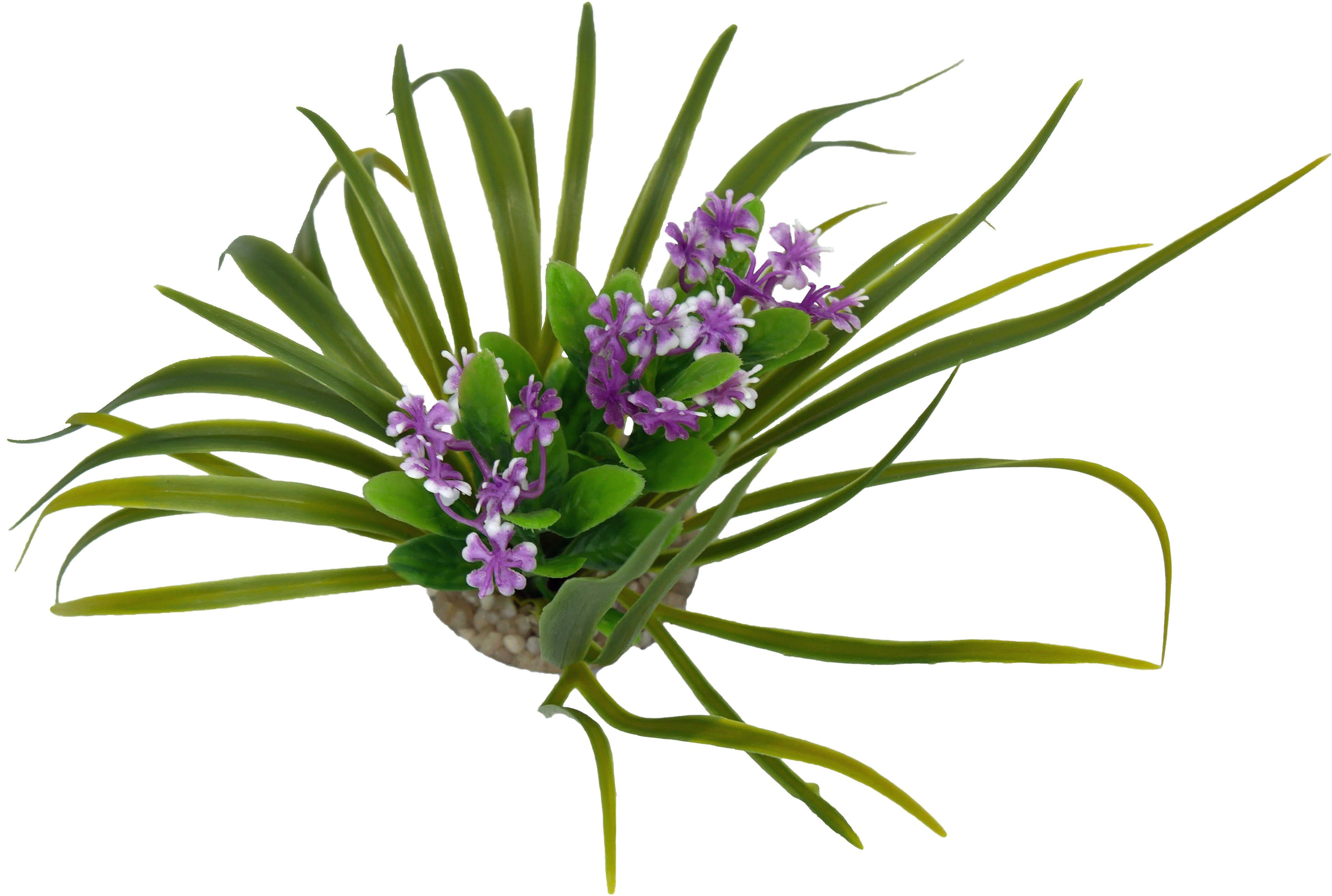 Labeo - D&eacute;coration Corolle Fleurie pour Terrarium Image num&eacute;ro 3
