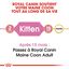 Royal Canin - Croquettes Maine Coon pour Chaton - 4Kg Indicateur image numéro 3