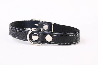 Yogipet - Collier Cuir et Nylon pour Chien - Noir