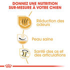 Royal Canin - Croquettes Bulldog Adult pour Chiens - 3Kg image number null