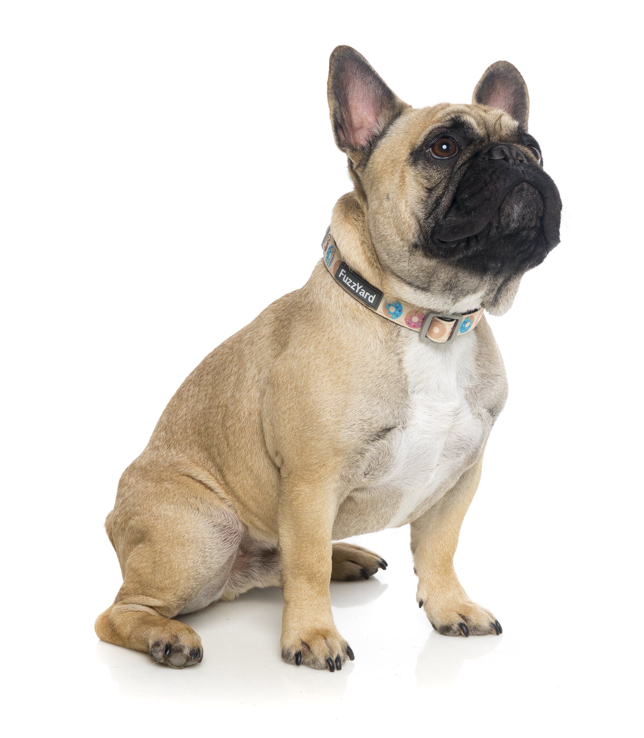 FuzzYard - Collier Go Nuts pour Chien - L Image num&eacute;ro 4