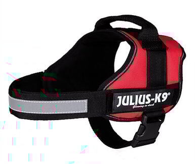 Julius K9 - Harnais Power pour Chien Rouge