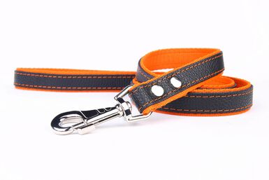 Yogipet - Laisse en Cuir avec Nylon 120cm pour Chien - Orange