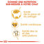 Royal Canin - Croquettes Ragdoll Adult pour Chat - 2Kg Indicateur image numéro 4