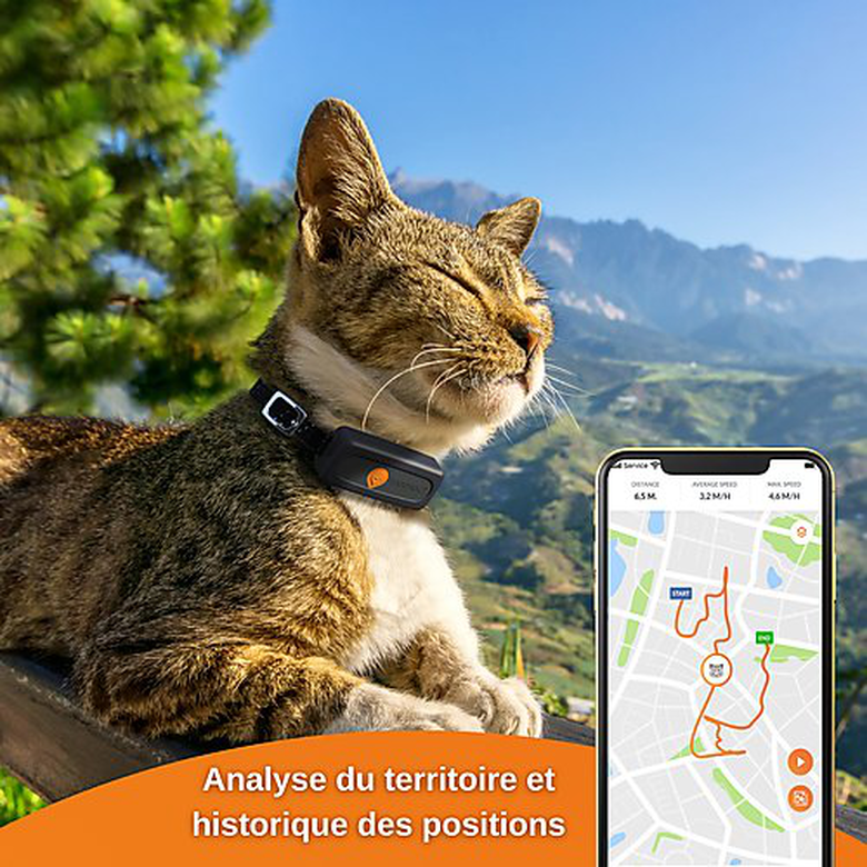 Collier GPS pour chat Weenect XS (ancien Weenect Cats 2) - Hariet