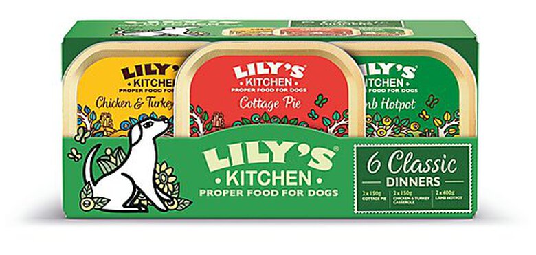 Lily's Kitchen - Multipack Barquettes Recettes Classiques pour Chien - 6x150g image number null