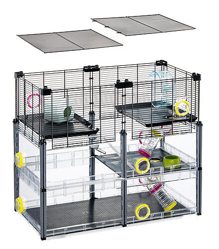 Ferplast - Cage Multipla Crystal pour Hamster et Souris - Noir Image num&eacute;ro 4