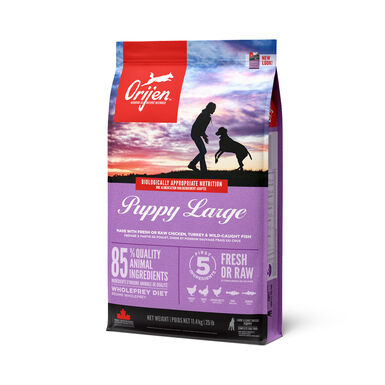 Orijen - Croquettes Puppy Large pour Chiot